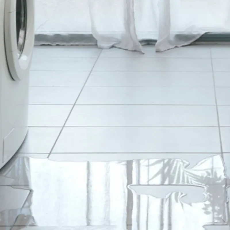 Appliance Leak Cleanup in Kirkland, WA